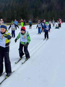 Solar na smuci, marec 2024, foto B J (9)